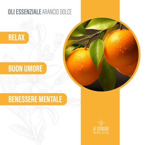 Olio Essenziale di Arancio Dolce 10 ml - immagine 3