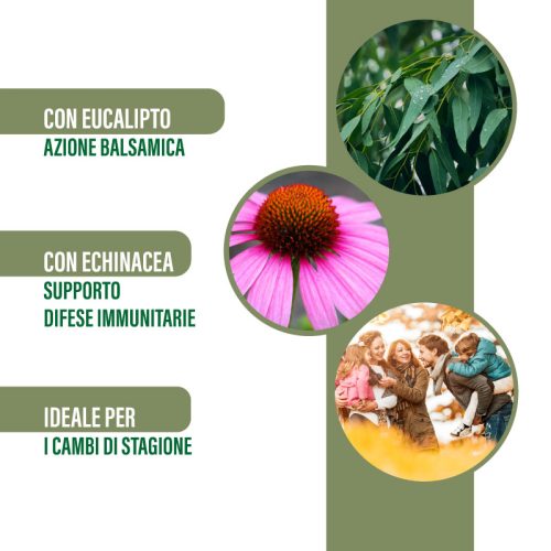 Balsamiel – Integratore Balsamico con Miele, Eucalipto, Pino Silvestre, Echinacea e Menta 250 g - immagine 4