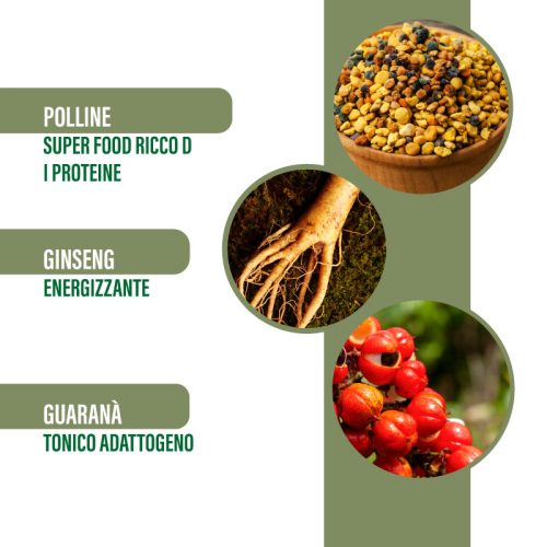 Enermiel – Integratore Energetico con Miele, Propoli, Polline, Pappa Reale, Ginseng e Guaranà 250 g - immagine 3