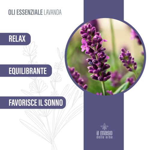 Olio essenziale di Lavanda 10 ml - immagine 4