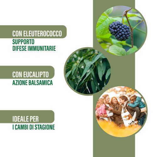 Propolmiel - Integratore con Propoli, Miele, Eleuterococco, Echinacea ed Eucalipto 250 g - immagine 3