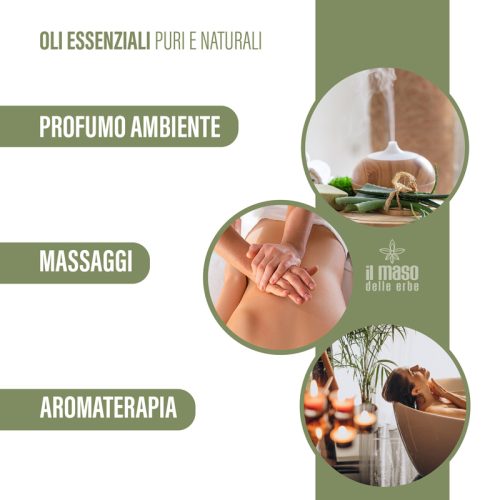 Olio Essenziale di Cirmolo 10 ml - immagine 4