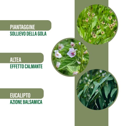 Propoli Spray Idroalcolico - Benessere respiratorio con Piantaggine, Altea ed Eucalipto - 30 ml - immagine 4