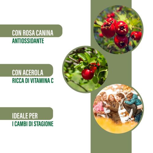 Apimmunol C – Difese Immunitarie con Vitamina C - immagine 3