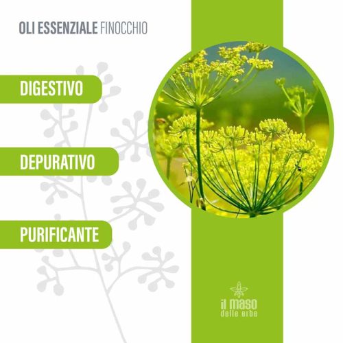 Olio Essenziale di Finocchio 10 ml - immagine 3