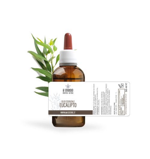 Olio Essenziale di Eucalipto 10 ml - immagine 2
