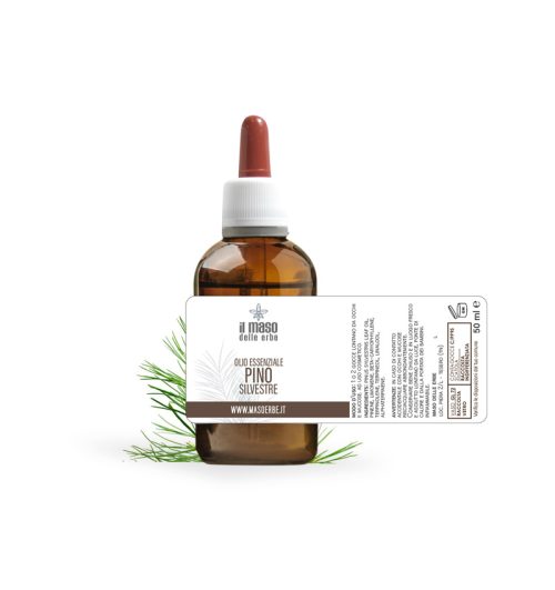 Olio Essenziale di Pino Silvestre 10 ml - immagine 2