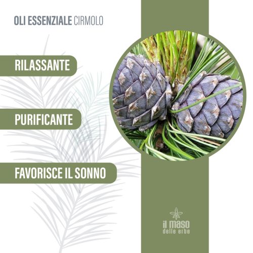Olio Essenziale di Cirmolo 10 ml - immagine 2