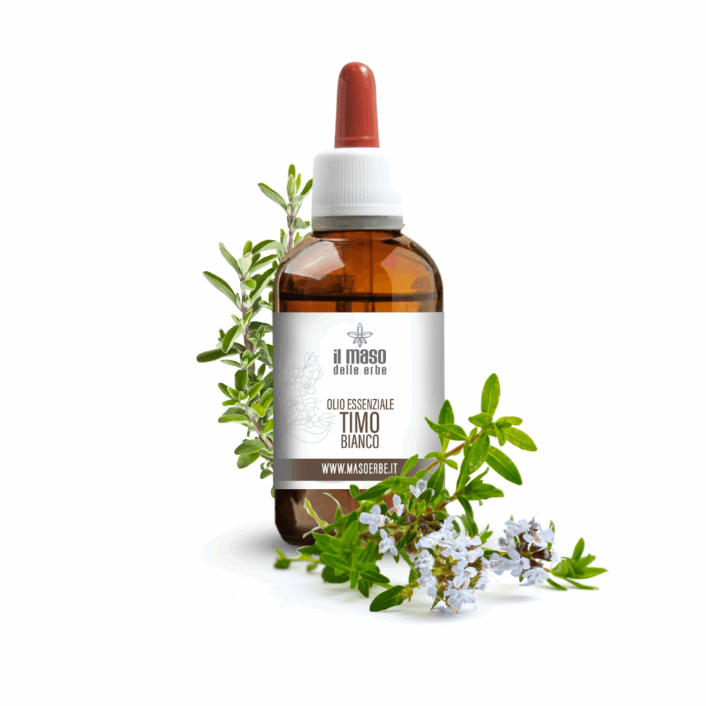 olio essenziale di timo bianco naturale italiano trentino