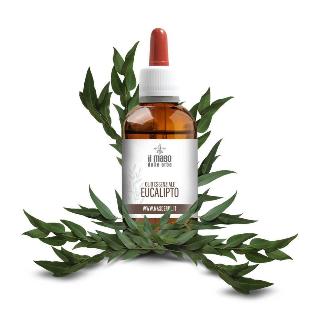 olio essenziale eucalipto italiano made in italy naturale trentino