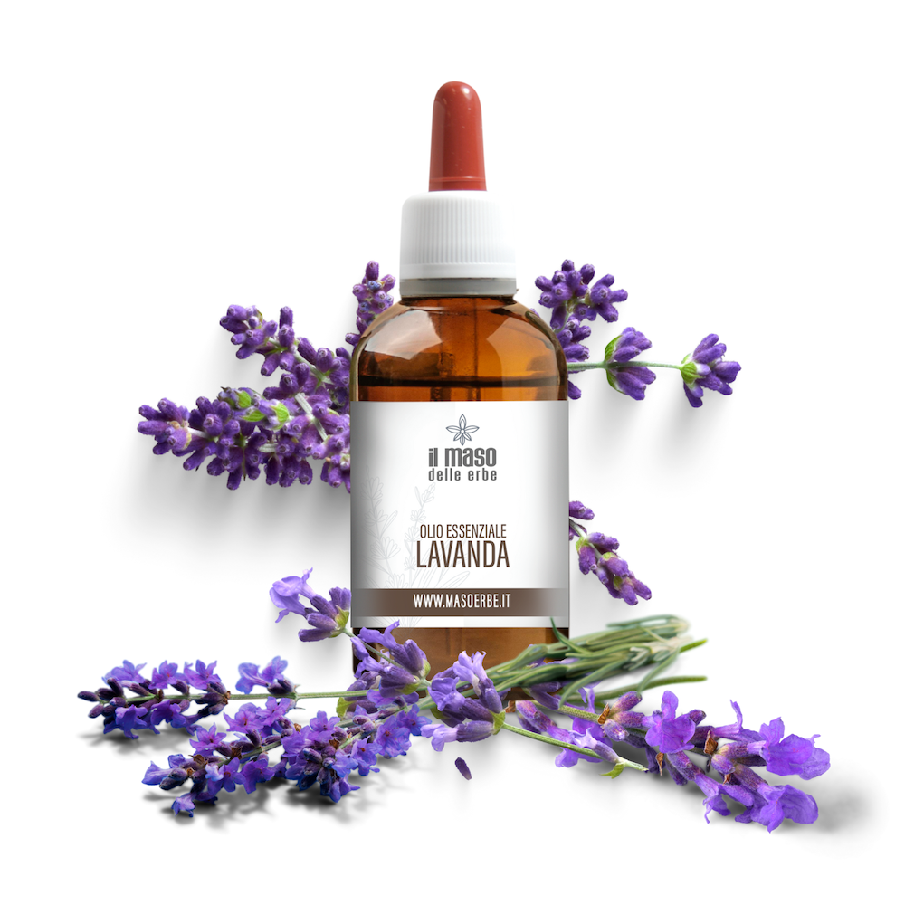 olio essenziale lavanda maso delle erbe trentino made in italy