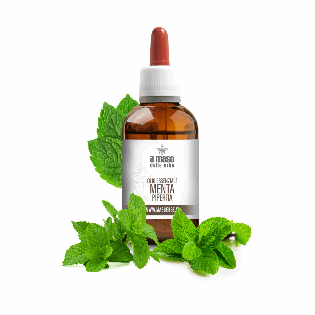 olio essenziale menta piperita naturale italiano trentino