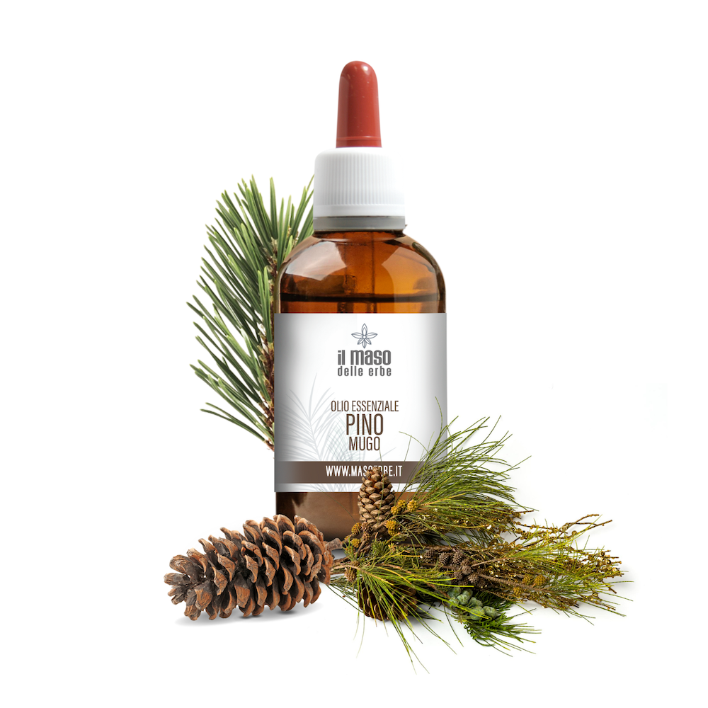 olio essenziale pino mugo italiano naturale trentino