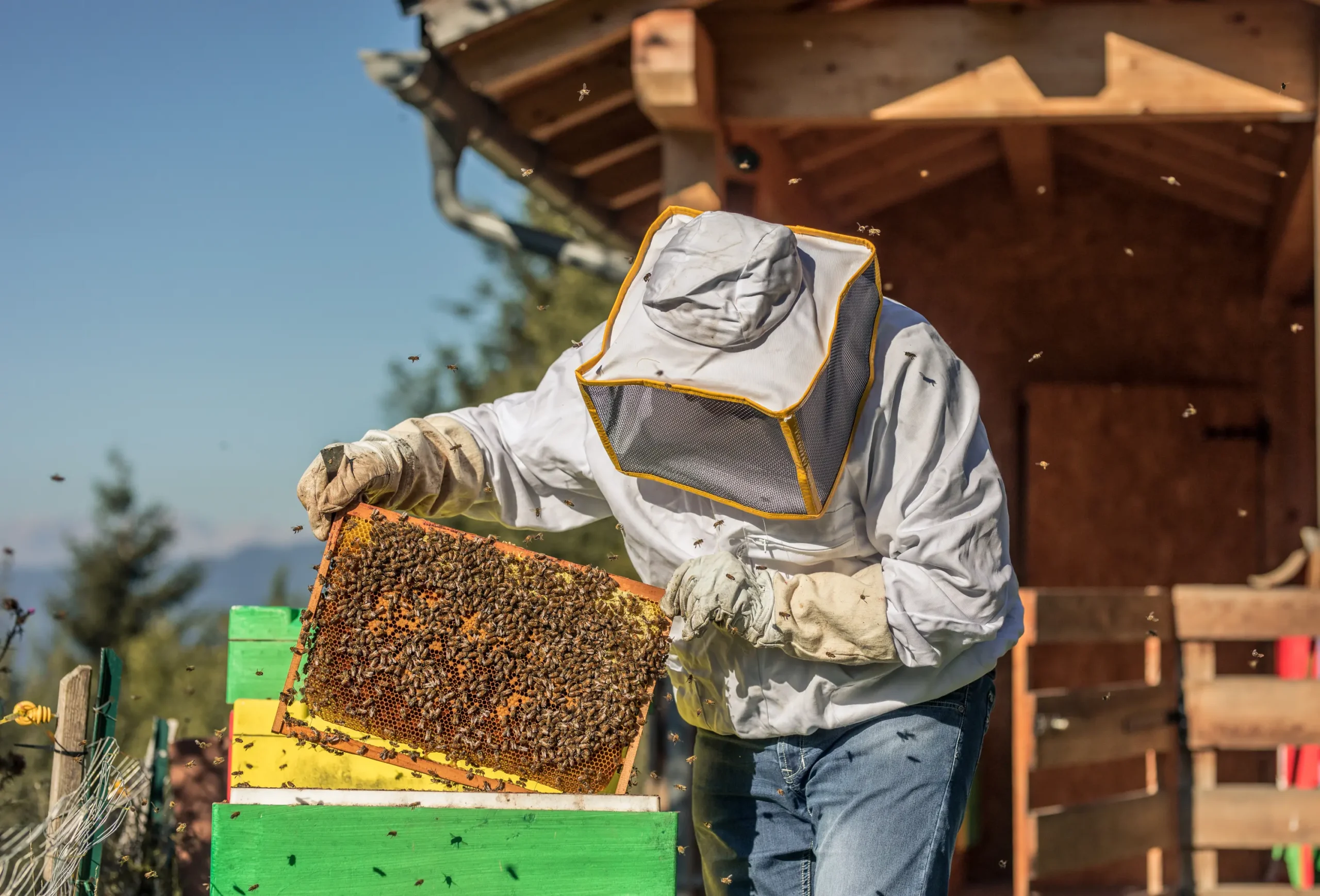 Apicoltore del Maso delle Erbe durante il lavoro negli alveari